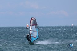 20250427-Franqui-115.jpg