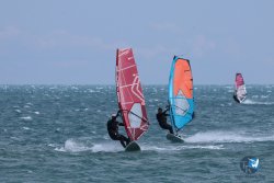 20250427-Franqui-118.jpg