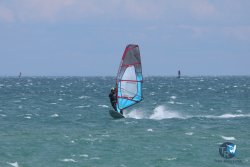20250427-Franqui-128.jpg