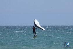 20250427-Franqui-135.jpg