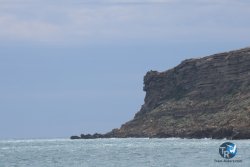 20250427-Franqui-181.jpg