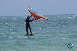 20250427-Franqui-187.jpg