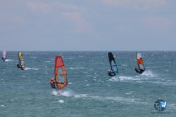 20250427-Franqui-191.jpg
