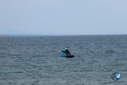 20250427-Franqui-197.jpg