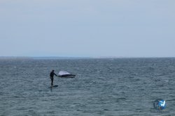20250427-Franqui-198.jpg