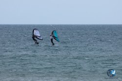 20250427-Franqui-199.jpg
