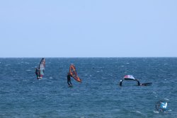 20250427-Franqui-200.jpg