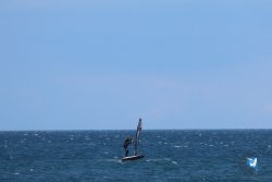 20250427-Franqui-202.jpg