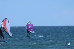 20250427-Franqui-203.jpg