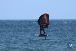 20250427-Franqui-205.jpg