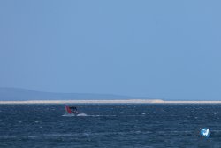 20250427-Franqui-213.jpg