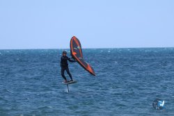 20250427-Franqui-215.jpg