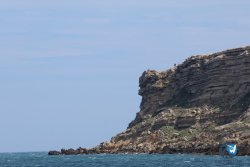 20250427-Franqui-224.jpg