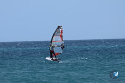 20250427-Franqui-234.jpg