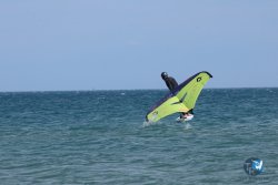 20250427-Franqui-302.jpg