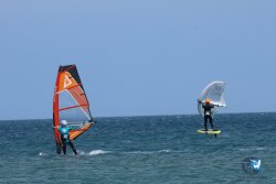 20250427-Franqui-303.jpg