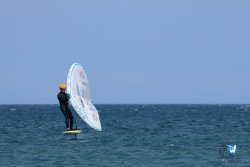 20250427-Franqui-305.jpg