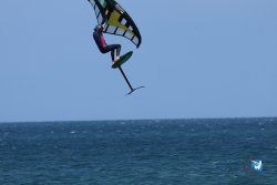 20250427-Franqui-320.jpg