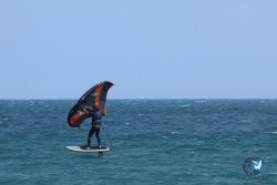 20250427-Franqui-322.jpg