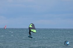 20250505-Franqui-wing-046.jpg