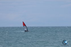 20250505-Franqui-wing-047.jpg