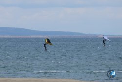 20250505-Franqui-wing-054.jpg