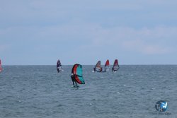 20250505-Franqui-wing-057.jpg