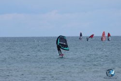 20250505-Franqui-wing-059.jpg