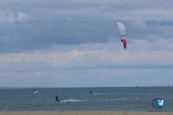 20250505-Franqui-wing-064.jpg