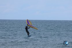 20250505-Franqui-wing-089.jpg