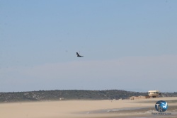 20220416-Franqui-fort-176.JPG