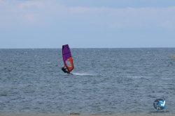 20250505-Franqui-wing-109.jpg