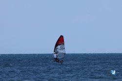 20250505-Franqui-wing-185.jpg
