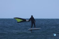 20250505-Franqui-wing-200.jpg
