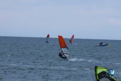 20250505-Franqui-wing-213.jpg