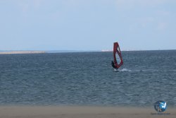 20250505-Franqui-wing-221.jpg