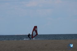20250505-Franqui-wing-225.jpg