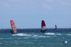 20250506-Franqui-nord-066.jpg