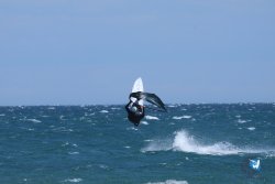 20250506-Franqui-nord-155.jpg