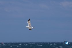 20250506-Franqui-nord-274.jpg