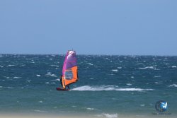 20250506-Franqui-nord-294.jpg