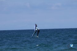 20250509-saintcyp-wing2-005.jpg