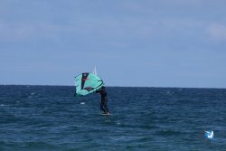 20250509-saintcyp-wing2-006.jpg
