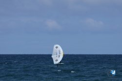 20250509-saintcyp-wing2-007.jpg