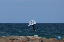 20250509-saintcyp-wing2-009.jpg