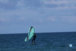 20250509-saintcyp-wing2-017.jpg