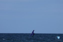 20250509-saintcyp-wing2-038.jpg
