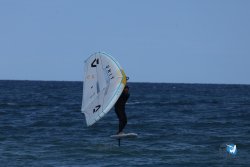 20250509-saintcyp-wing2-040.jpg