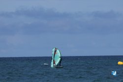 20250509-saintcyp-wing2-044.jpg