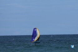 20250509-saintcyp-wing2-048.jpg